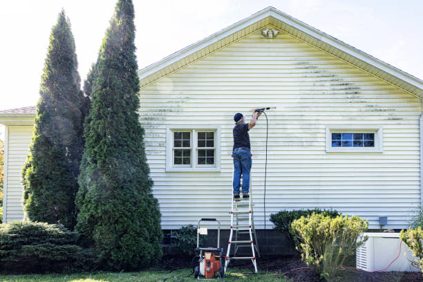 Best Gutter Cleaning in Johnston, IA