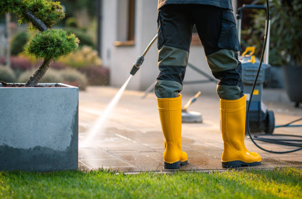 Best Seasonal Cleaning Services in Johnston, IA